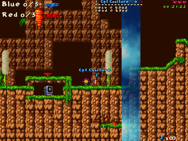 Carrot jungle