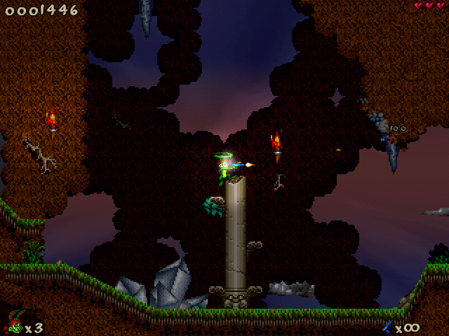 Forest Forgotten